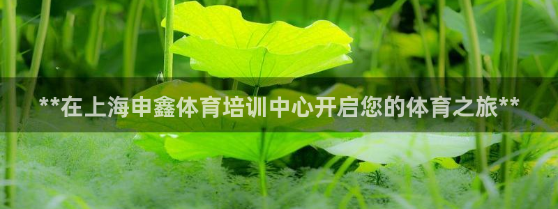 欧陆娱乐app下载安装：**在上海申鑫体育培训中心开