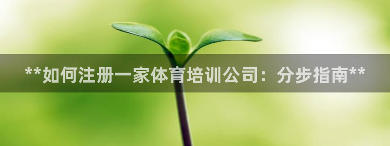 欧陆娱乐注册代理：**如何注册一家体育培训公司：分步