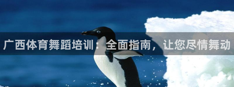 欧陆娱乐公司产品介绍图片：广西体育舞蹈培训：全面指南