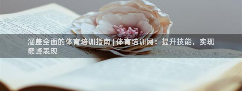 欧陆娱乐平台登陆地址是什么样的：涵盖全面的体育培训指