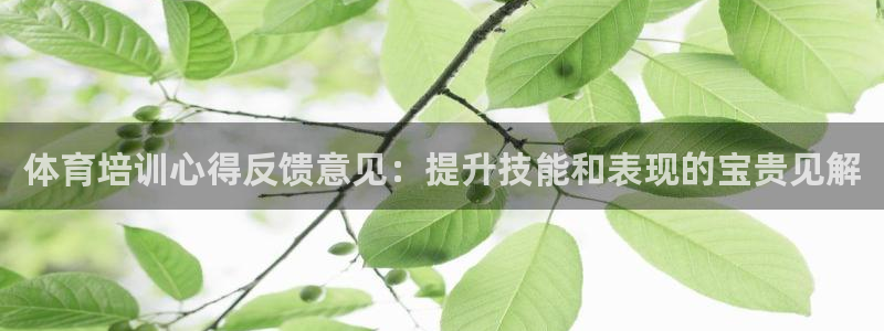 欧陆娱乐测速软件下载：体育培训心得反馈意见：提升技能和表现的
