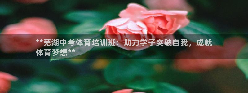 欧陆官网下载：**芜湖中考体育培训班：助力学子突破自我，成就