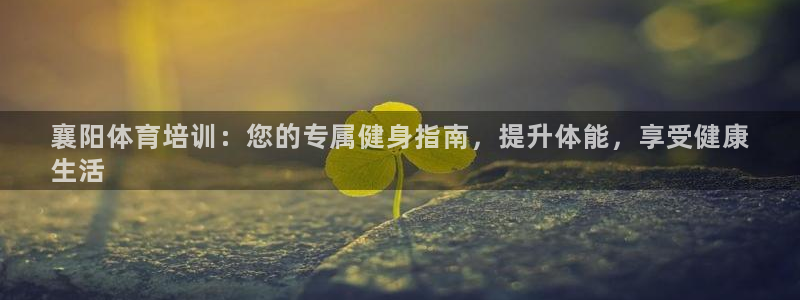 欧陆娱乐代理多少个点位合适：襄阳体育培训：您的专属健