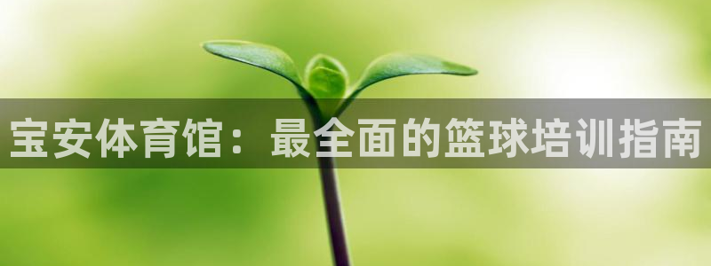 欧陆娱乐有限公司官网：宝安体育馆：最全面的篮球培训指