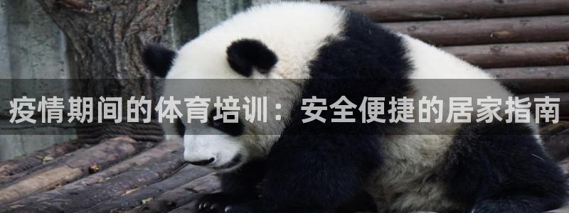 欧陆娱乐百科百度：疫情期间的体育培训：安全便捷的居家