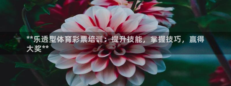 欧陆娱乐登录平台有哪些：**乐透型体育彩票培训：提升技能，掌