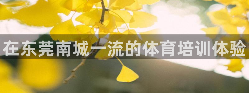 欧陆娱乐系统教程：在东莞南城一流的体育培训体验