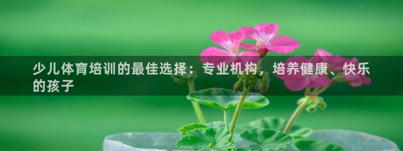 欧陆娱乐登录平台：少儿体育培训的最佳选择：专业机构，