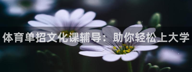 欧陆娱乐是资金盘吗：体育单招文化课辅导：助你轻松上大