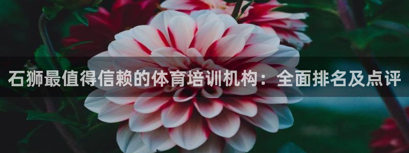 欧陆娱乐能提现嘛是真的吗