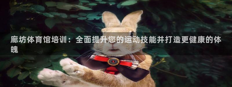 欧陆娱乐可以退钱：廊坊体育馆培训：全面提升您的运动技