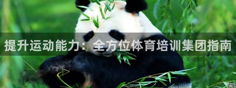 欧陆娱乐官网下载安装最新版苹果：提升运动能力：全方位体育培训