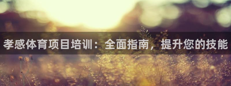 欧陆娱乐代理多少个点位合适：孝感体育项目培训：全面指