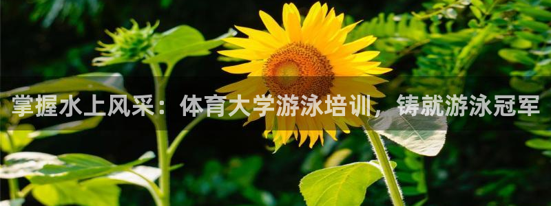 欧陆娱乐微信：掌握水上风采：体育大学游泳培训，铸就游泳冠军