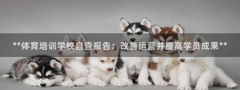 欧陆平台：**体育培训学校自查报告：改善运营并提高学员成果*