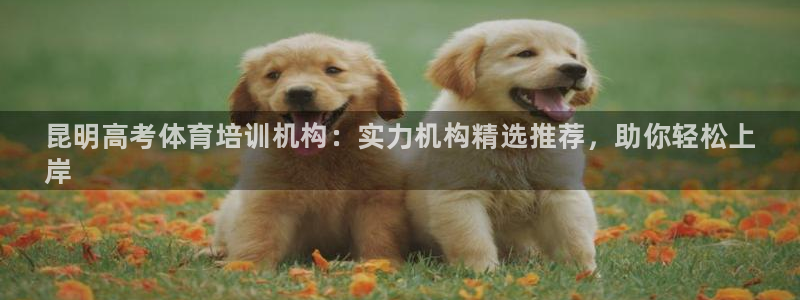 欧陆娱乐公司产品介绍：昆明高考体育培训机构：实力机构
