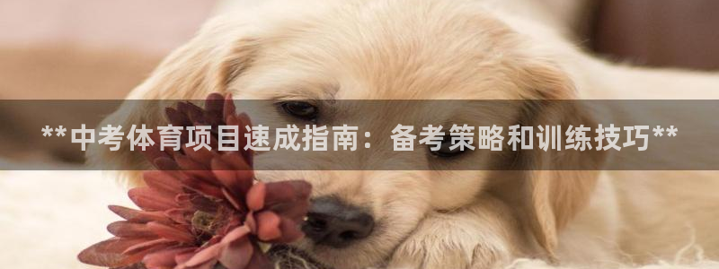 欧陆娱乐百科官网：**中考体育项目速成指南：备考策略