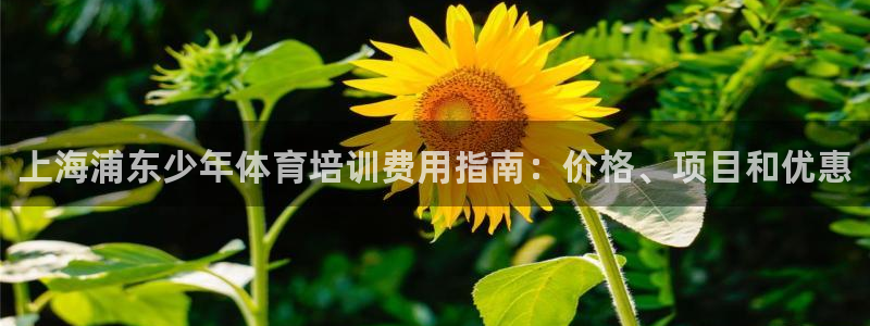 欧陆娱乐试玩官网：上海浦东少年体育培训费用指南：价格、项目和