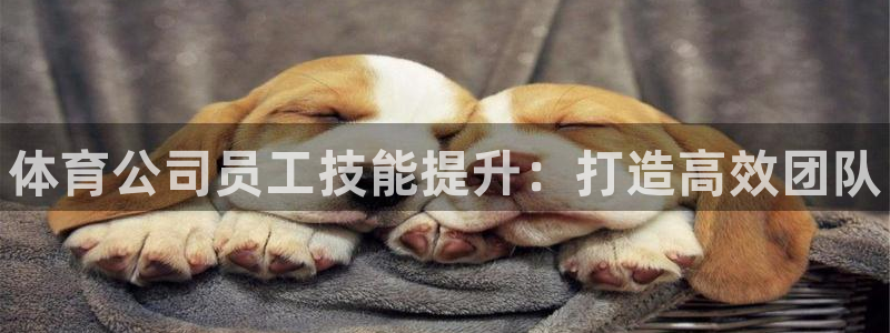 欧陆娱乐挂机项目怎么弄