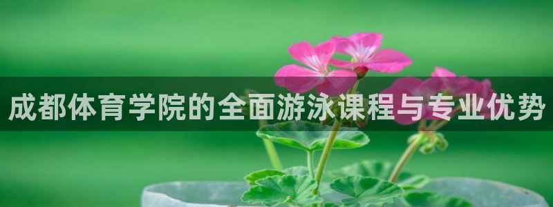欧陆平台：成都体育学院的全面游泳课程与专业优势