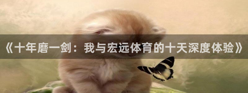 欧陆娱乐测试官网