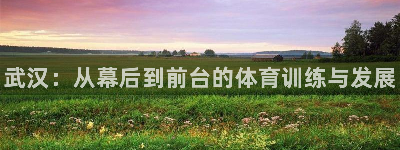 欧陆娱乐平台官网入口：武汉：从幕后到前台的体育训练与