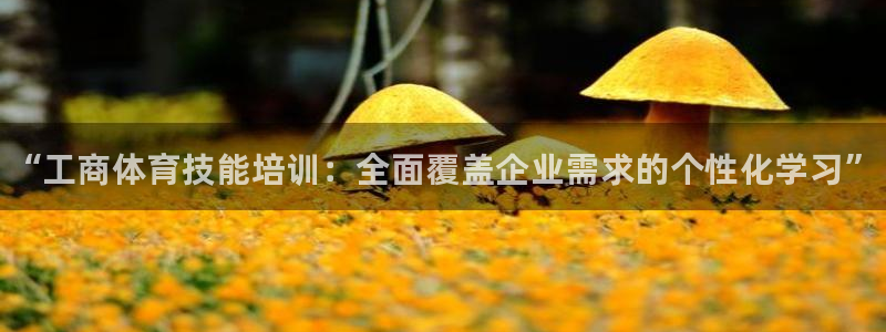 欧陆娱乐登录平台有哪些：“工商体育技能培训：全面覆盖