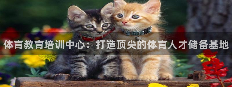 欧陆娱乐官网入口下载：体育教育培训中心：打造顶尖的体