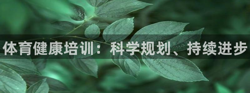 欧陆娱乐分分彩：体育健康培训：科学规划、持续进步